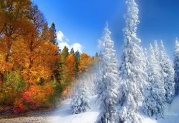 fall-to-winter-254227.jpg